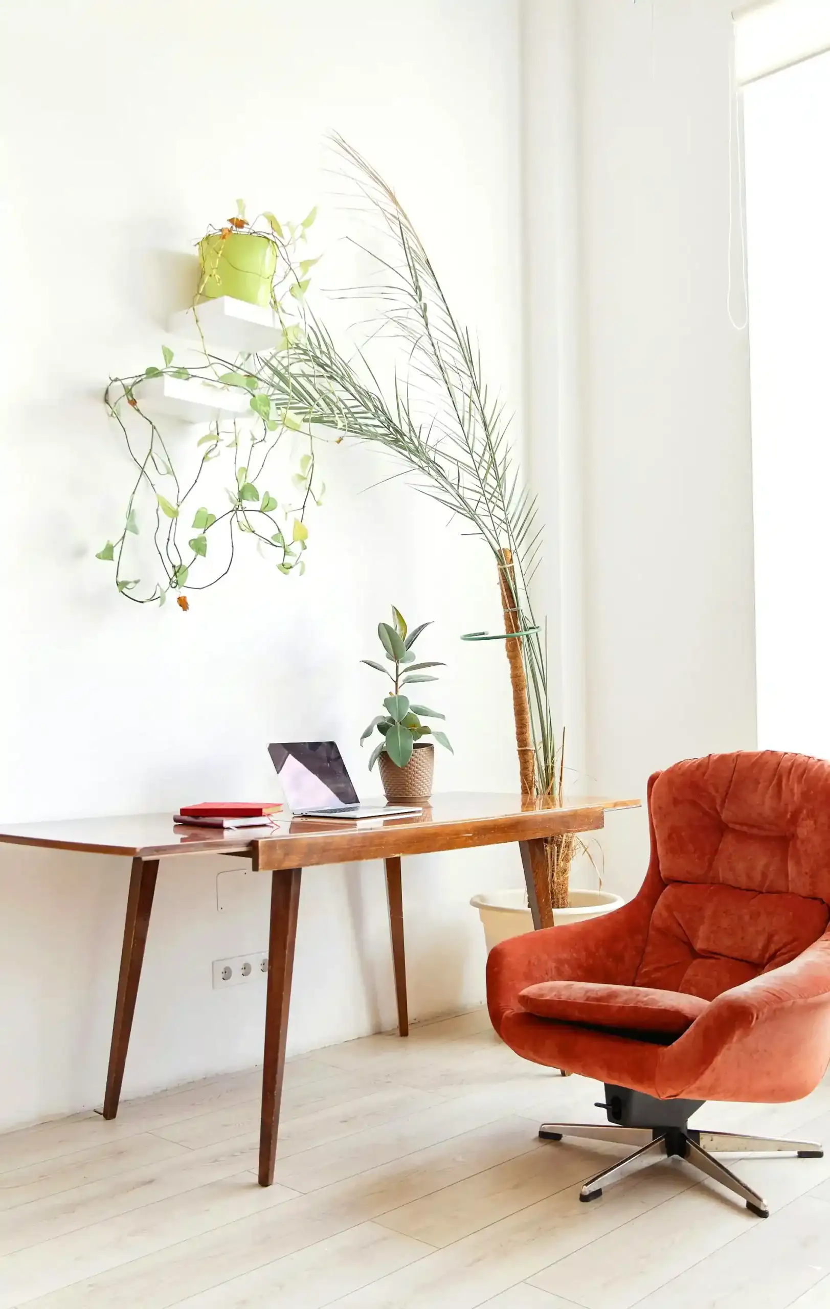 pexels-darina-belonogova-8373803-1-scaled Photo - Espace salon